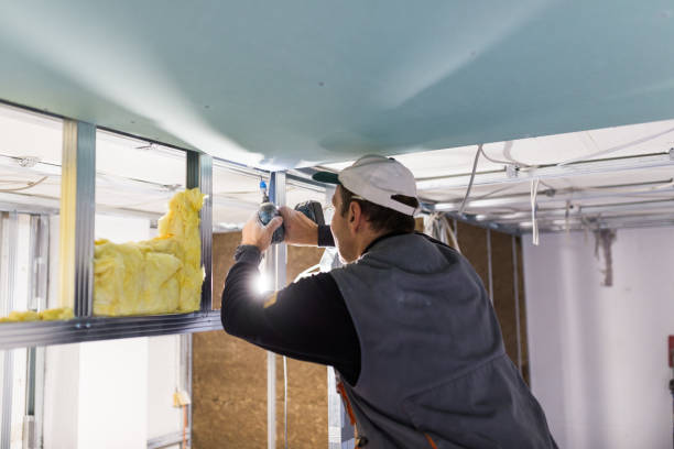 Garage Insulation Installation in Tipton, IA