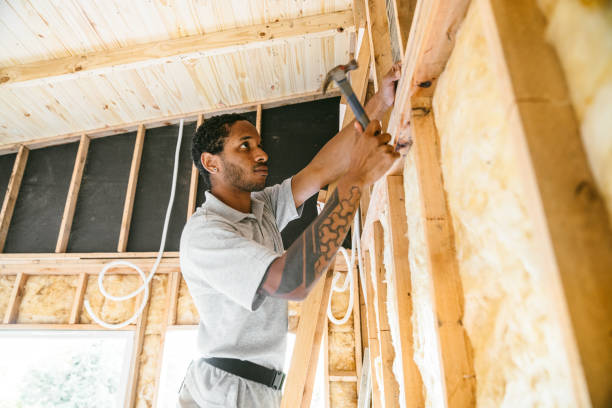 Best Soundproof Insulation Installation  in Tipton, IA