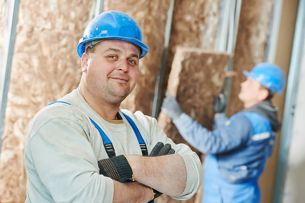 Best Fiberglass Insulation  in Tipton, IA